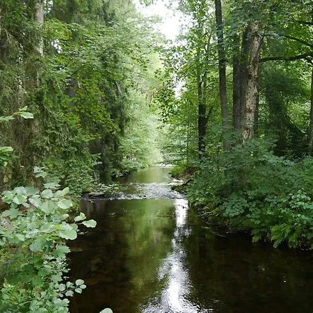 Lejlighed Hochfirstblick Titisee-Neustadt