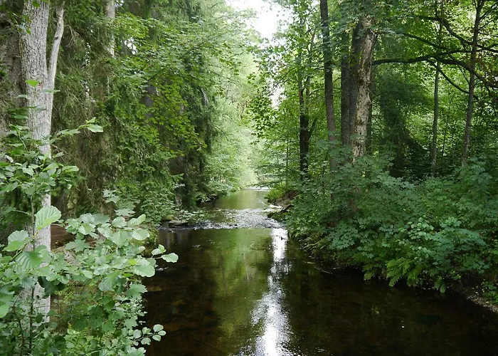 Lejlighed Hochfirstblick Titisee-Neustadt