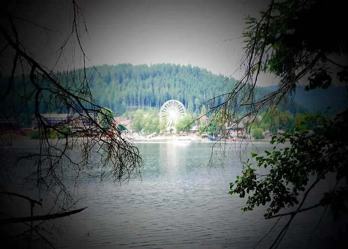 Hochfirstblick * Titisee-Neustadt